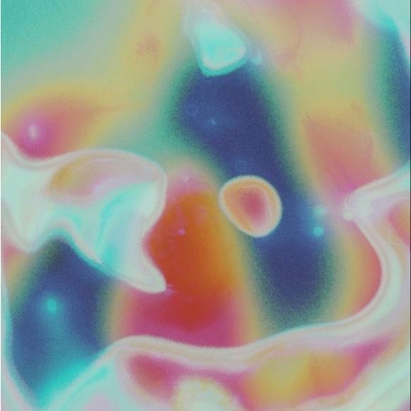 Meet your Posher, Jovie - Picture 4 of 4